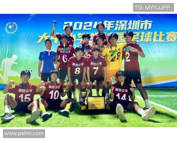 深圳足球队的拼搏之路与挑战赛背后的奋斗故事